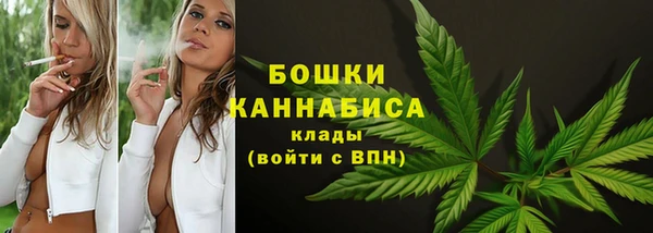 гидра Волоколамск