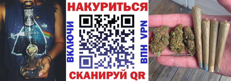 Шишки марихуана семена  Купить где  Кинешма 